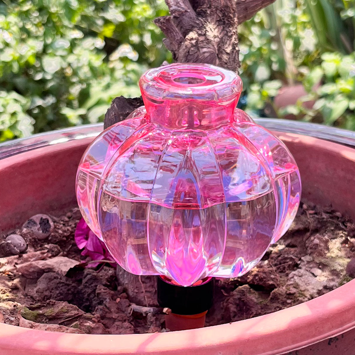 Automatic Plant Waterer - 2pcs Self Watering Drip Irrigation Plastic