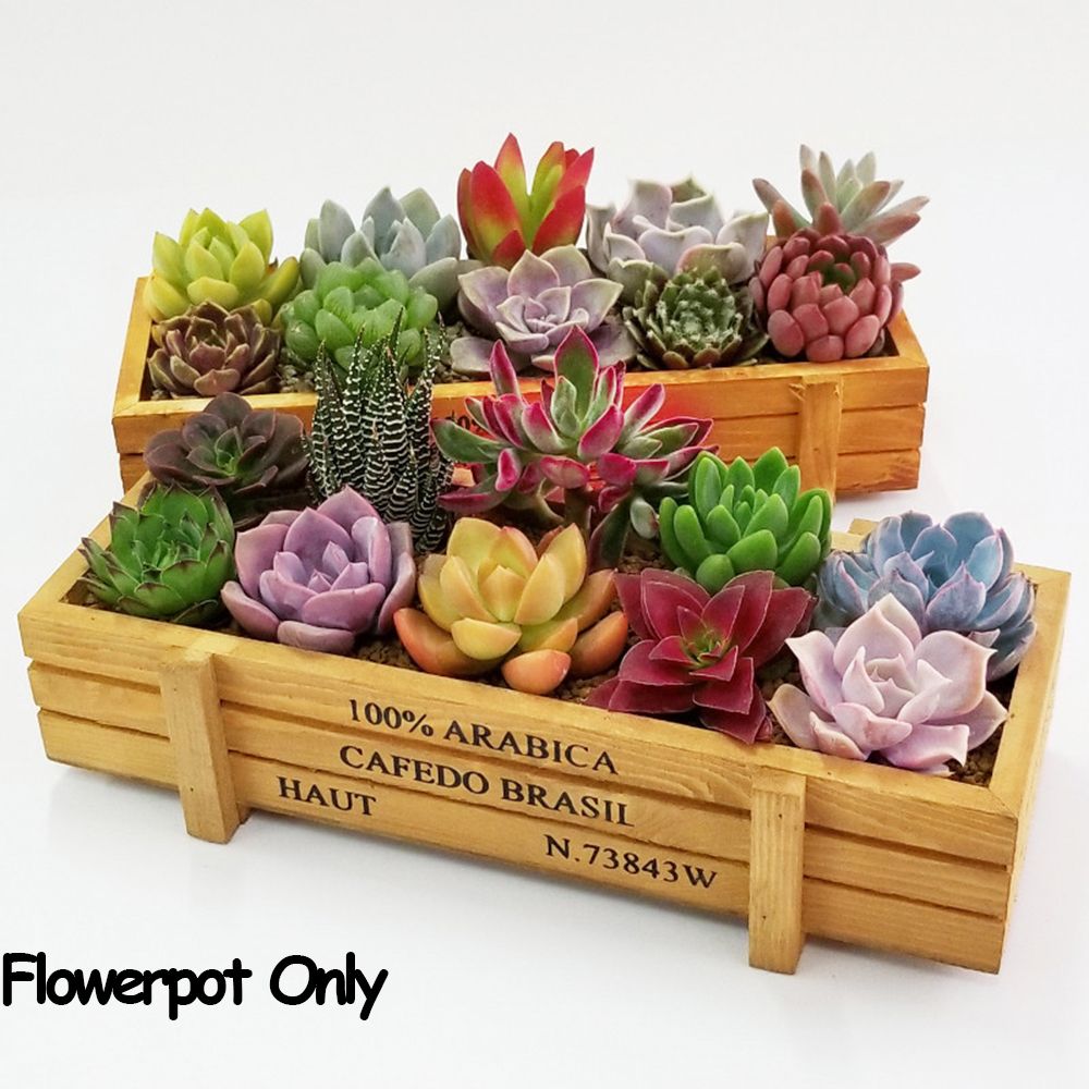 Gardening Tools Vintage - 1 PC Tools Garden Decor Trough