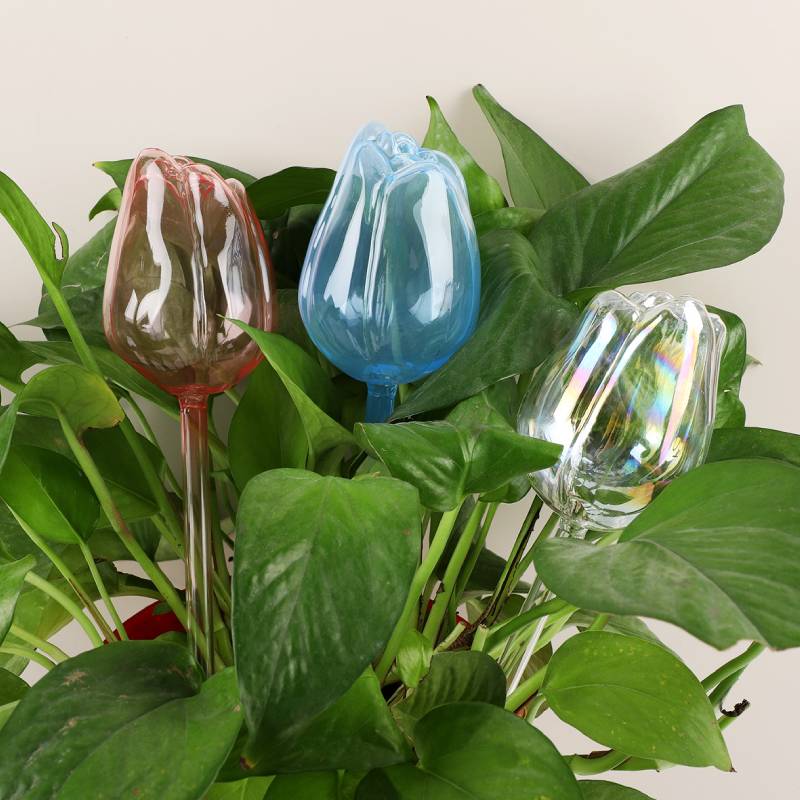 Automatic Plant Waterer - 1 pc Glass Plant Waterer, Automatic