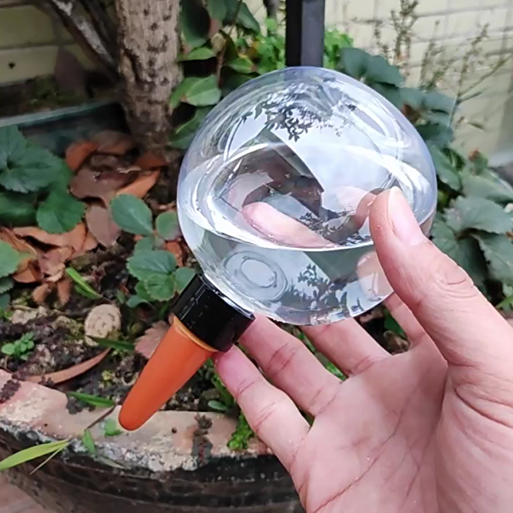 500ML Self Watering Globes Dri - Automatic Plant Waterer ulasan dan harga