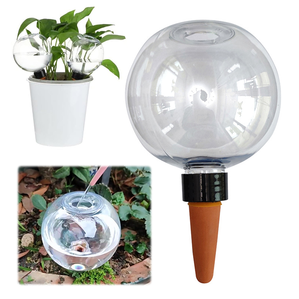 500ML Self Watering Globes Dri - Automatic Plant Waterer ulasan dan harga