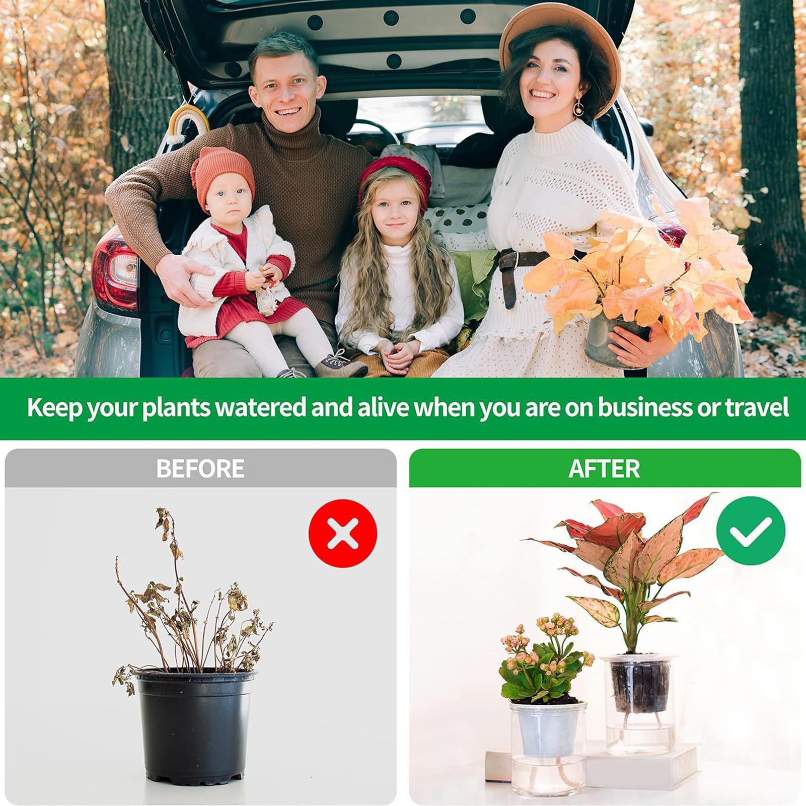 Plant Wicks For Self Watering  - Automatic Plant Waterer ulasan dan harga