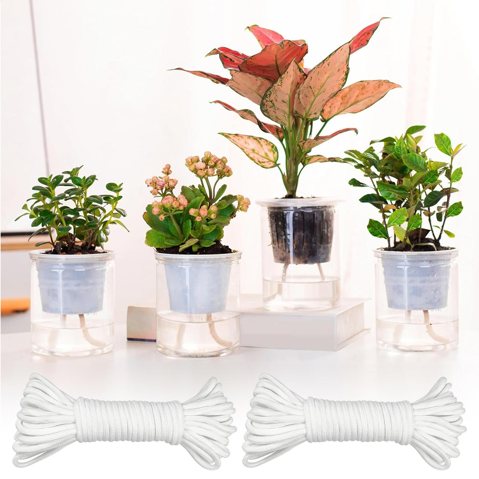 Plant Wicks For Self Watering  - Automatic Plant Waterer ulasan dan harga