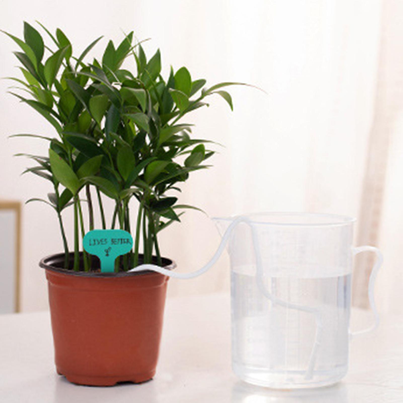 Plant Wicks For Self Watering  - Automatic Plant Waterer ulasan dan harga