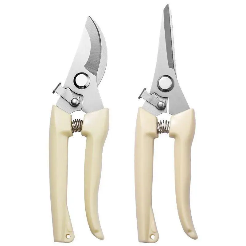 Stainless Steel Pruning Scisso - Gardening Tools To Cut Branches ulasan dan harga