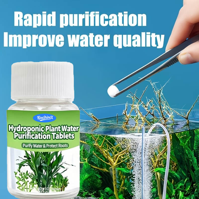 Hydroponic Water Purification  - Aquaponics Fish Tank ulasan dan harga
