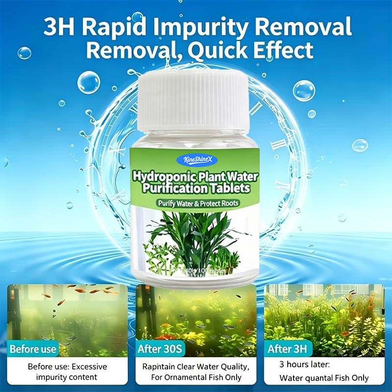 Hydroponic Water Purification  - Aquaponics Fish Tank ulasan dan harga