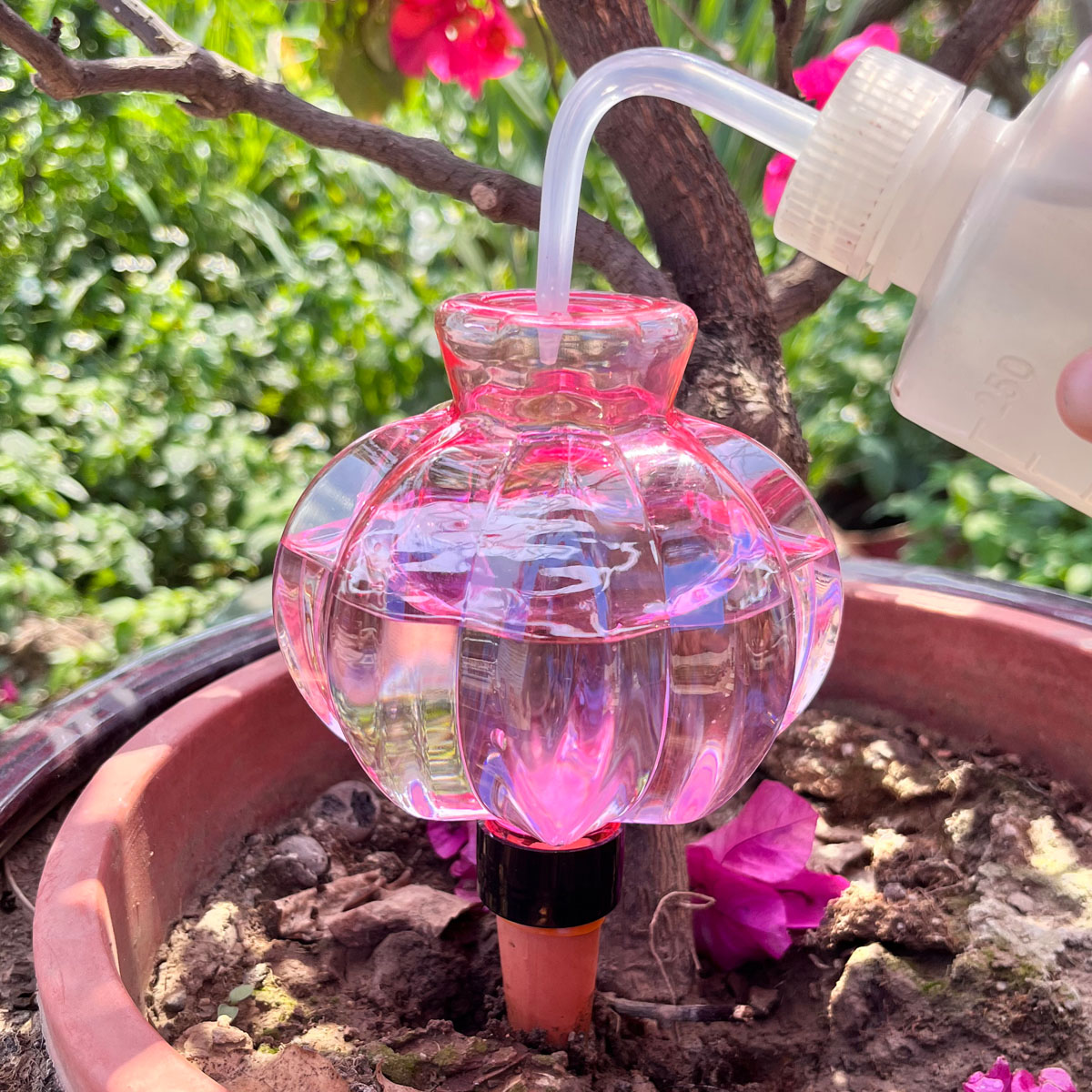 2pcs Self Watering Drip Irriga - Automatic Plant Waterer ulasan dan harga