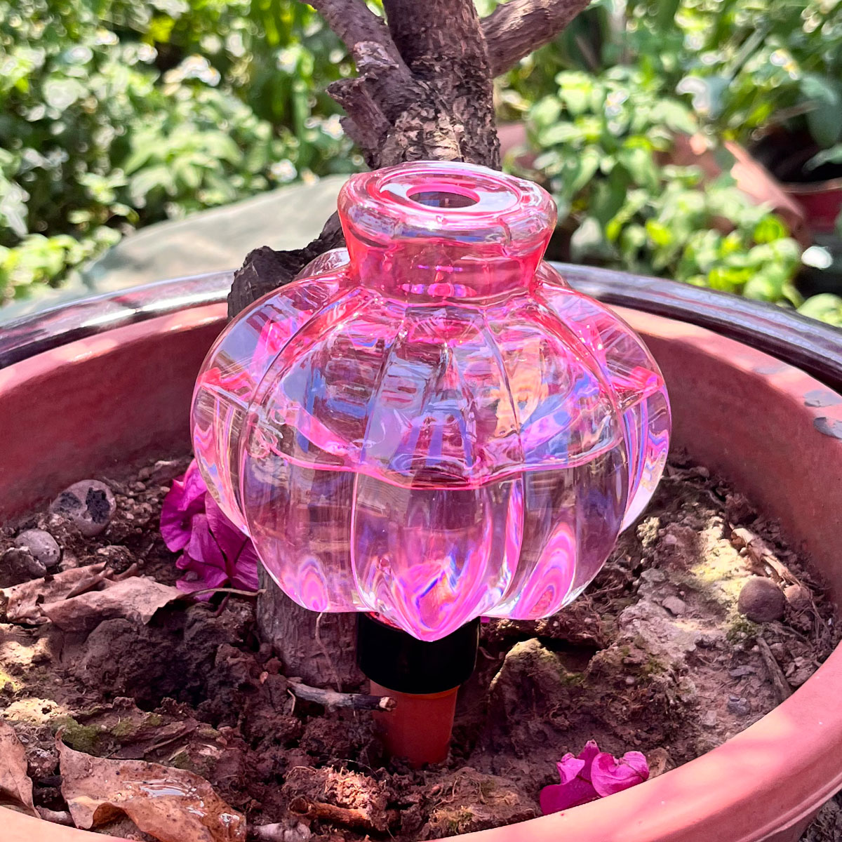 2pcs Self Watering Drip Irriga - Automatic Plant Waterer ulasan dan harga