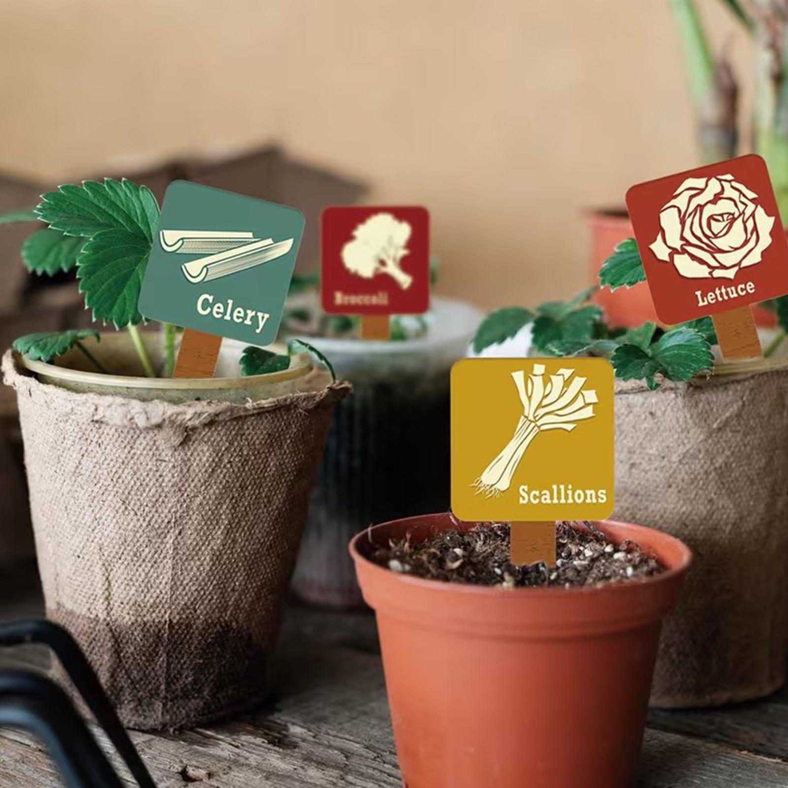 Garden Plant Markers 15 Pieces - Garden Row Marker ulasan dan harga