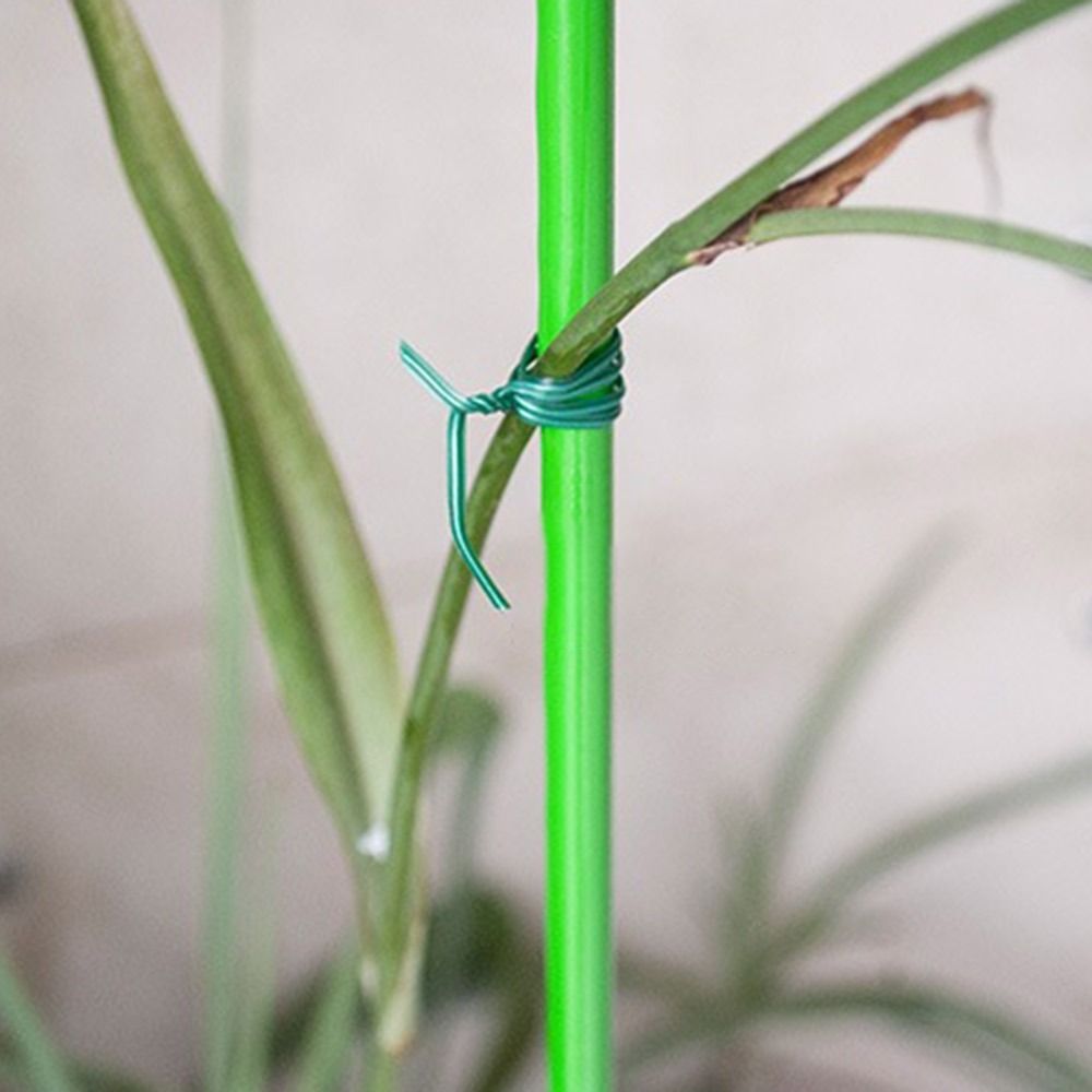 20/50/100m Garden Cable Ties P - Garden Wire Twist Tie ulasan dan harga