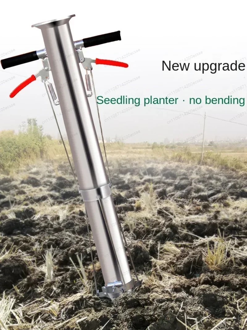 Seedling Transplanter Vegetabl - Gardening Tools Women ulasan dan harga