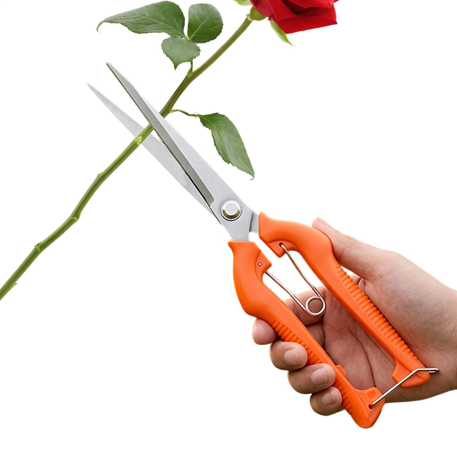 Pruning Shears Grape Scissors  - Gardening Tools Women ulasan dan harga