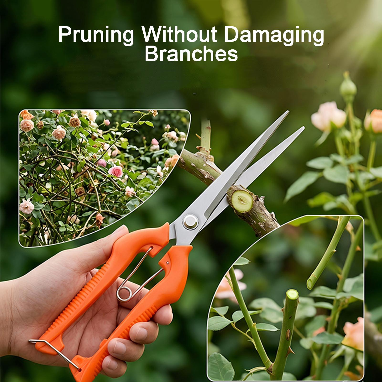 Pruning Shears Grape Scissors  - Gardening Tools Women ulasan dan harga