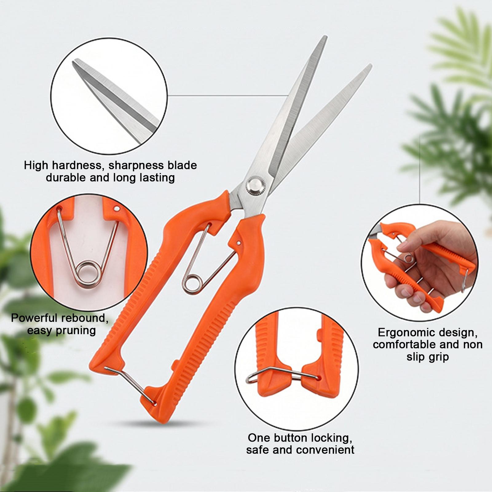 Pruning Shears Grape Scissors  - Gardening Tools Women ulasan dan harga