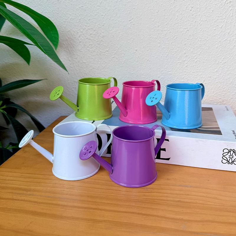 Mini Watering Can Metal Vintag - Gardening Tools Vintage ulasan dan harga