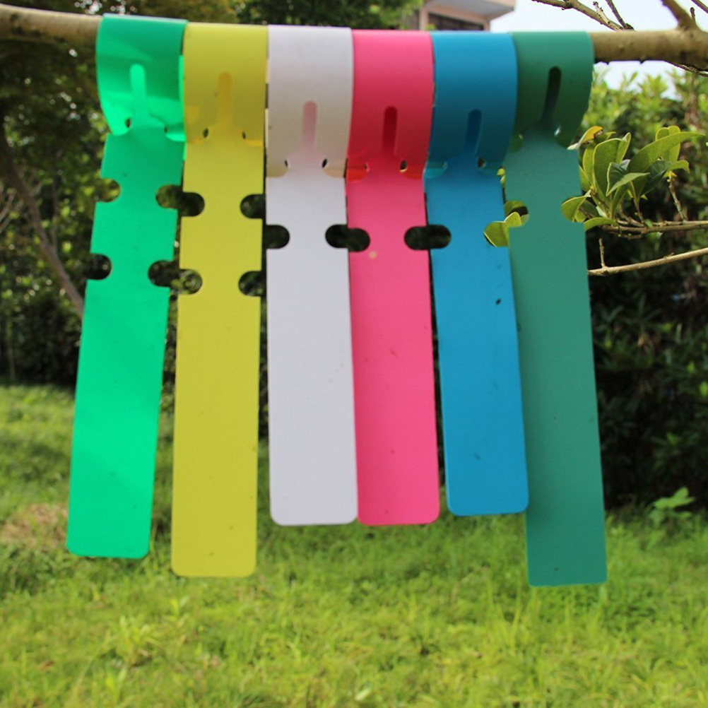 100Pcs Weatherproof PVC Plant  - Garden Row Marker ulasan dan harga