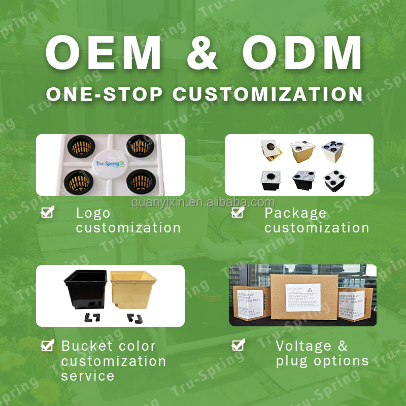 Dutch Bucket Hydroponic System - Drip Irrigation Kit ulasan dan harga