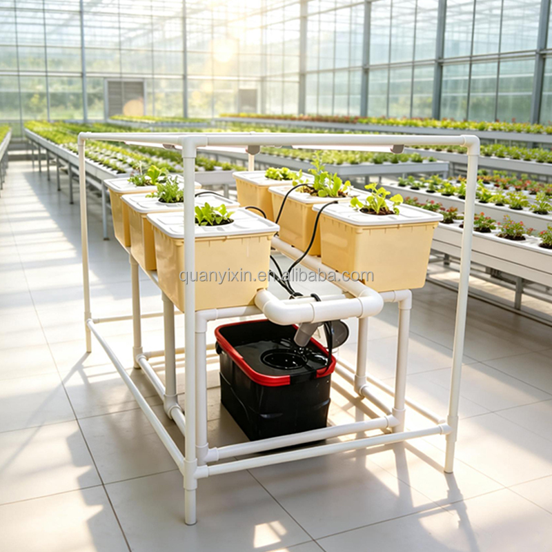 Dutch Bucket Hydroponic System - Drip Irrigation Kit ulasan dan harga