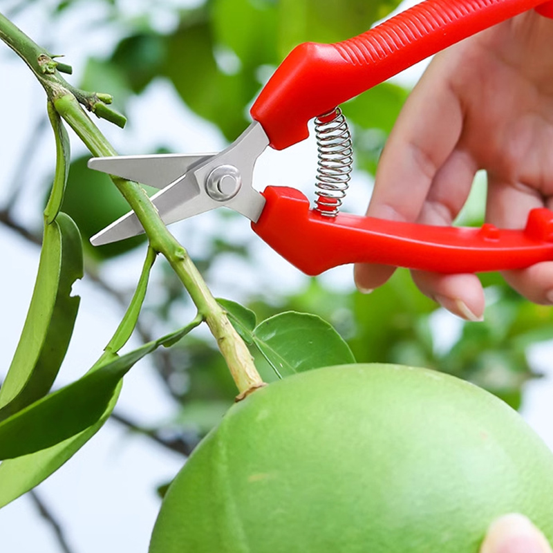 One-handed Scissors Pruning Sh - Gardening Tools To Cut Branches ulasan dan harga