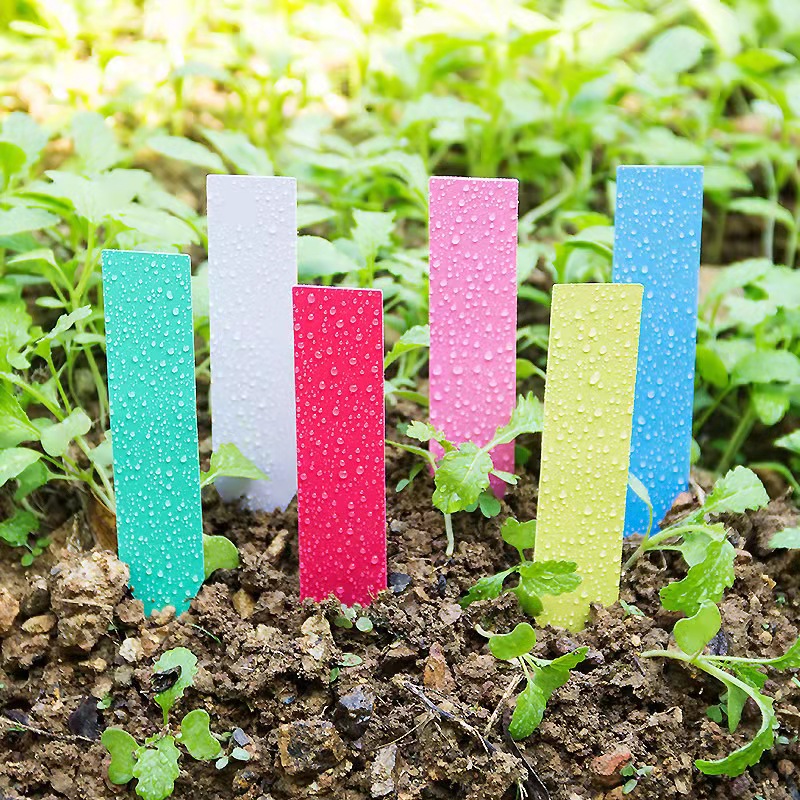 100Pcs Garden Plant Labels Pla - Plant Label Tags ulasan dan harga