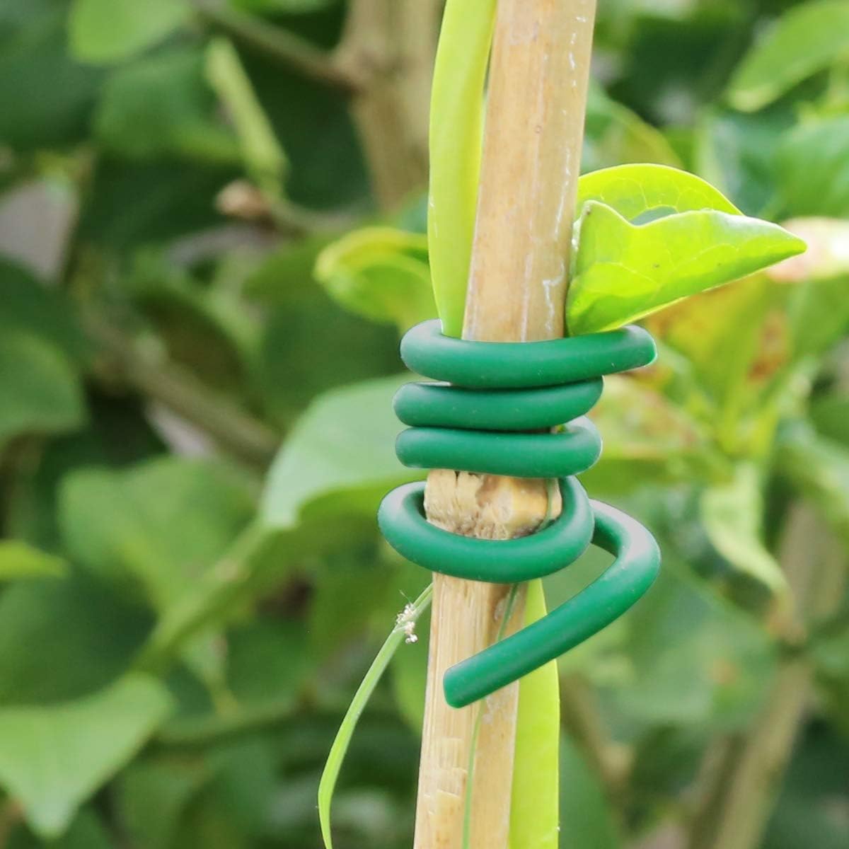 Garden Plants Climbing Tie Gre - Garden Wire Twist Tie ulasan dan harga