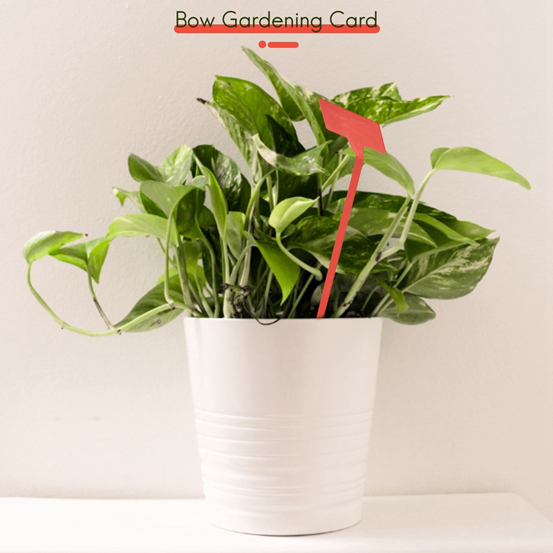 ABYP Gardens Planting Tools 50 - Plant Label Tags ulasan dan harga