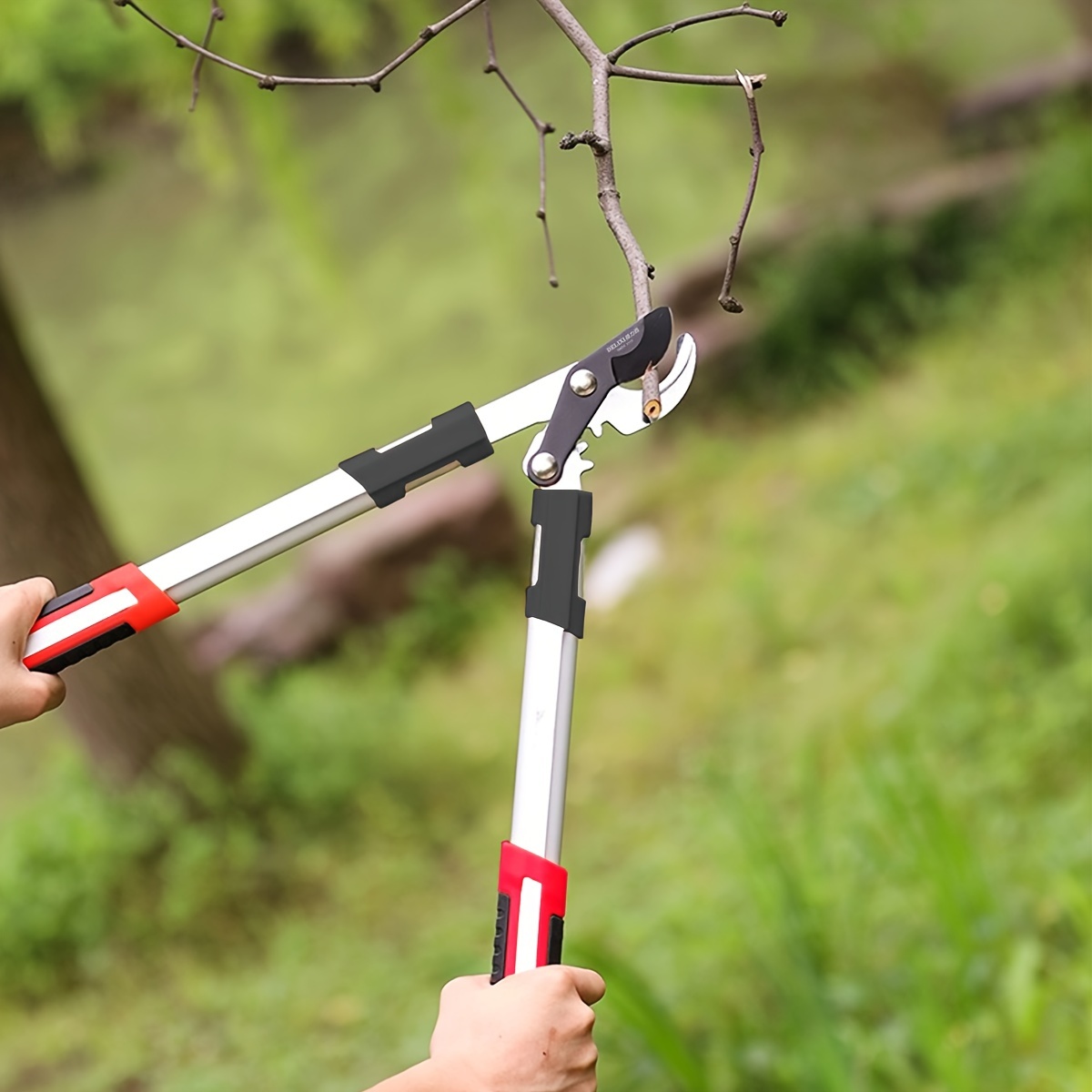 Pruning Shears Heavy Duty SK5  - Gardening Tools To Cut Branches ulasan dan harga