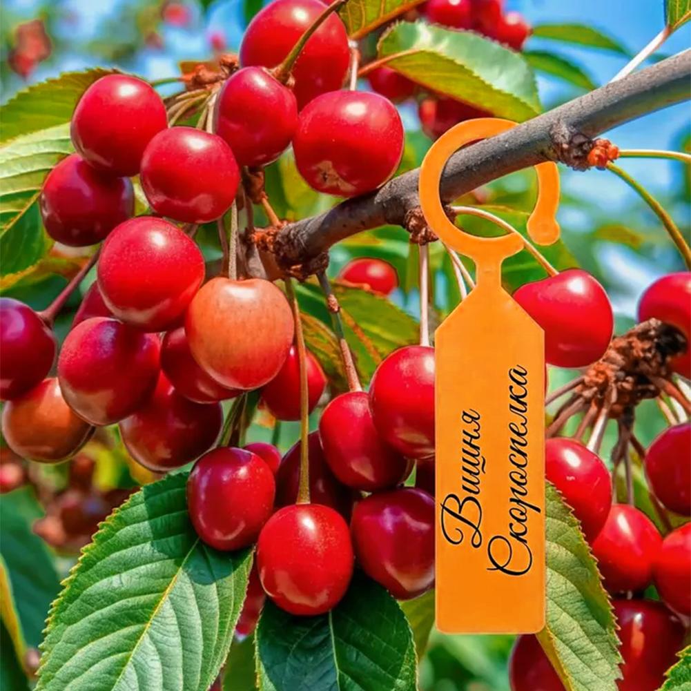 Garden Planting Tag Ring Hook  - Plant Label Tags ulasan dan harga