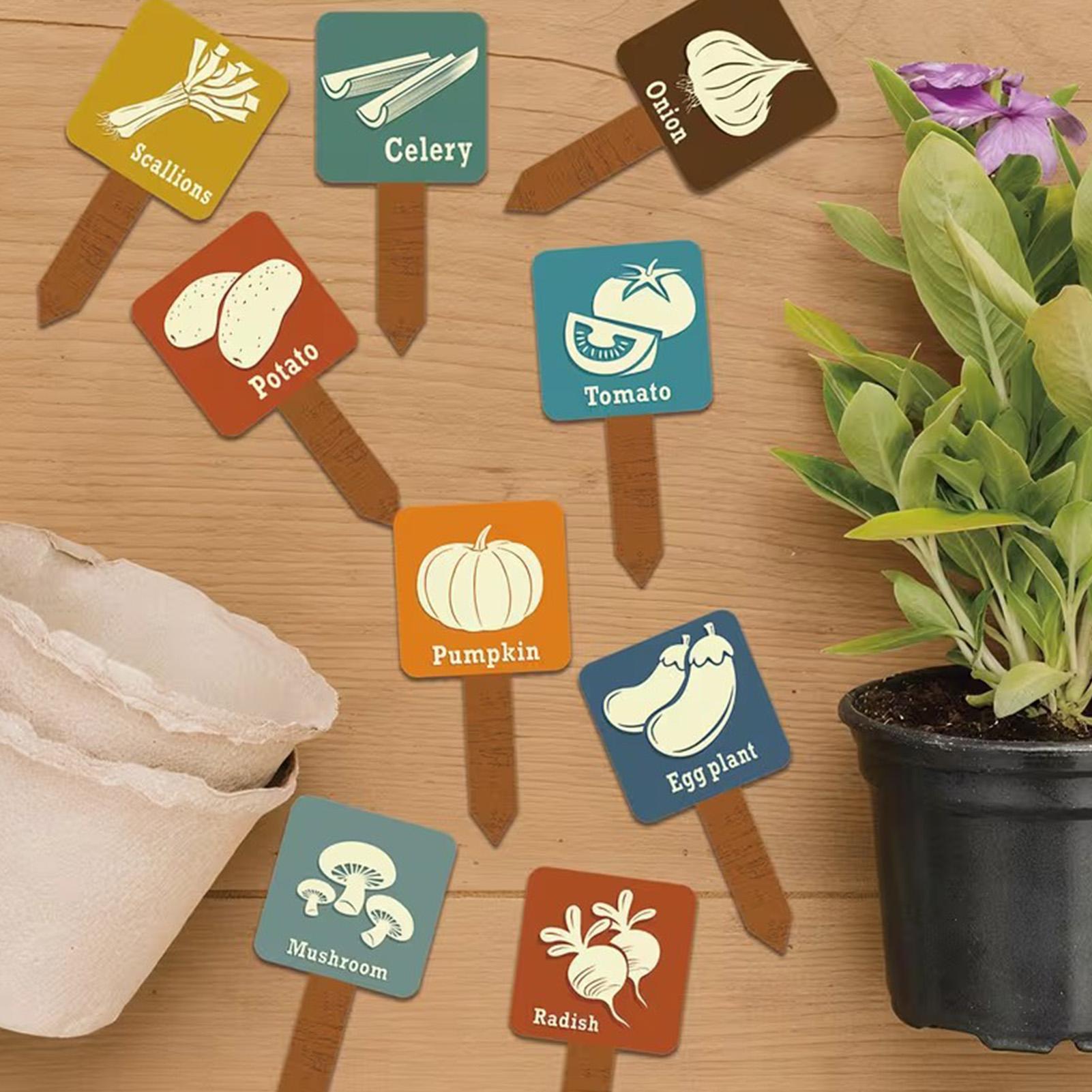 Vegetable Garden Signs 15 Piec - Garden Row Marker ulasan dan harga