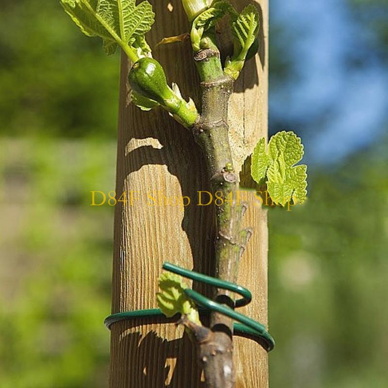 D84F Garden Wire Ties Plant Wi - Garden Wire Twist Tie ulasan dan harga