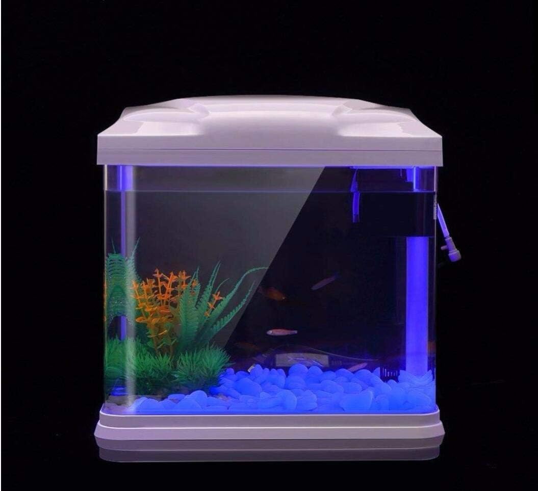 Fish Tank Rocks Glow Blue Pebb - Aquaponics Fish Tank ulasan dan harga