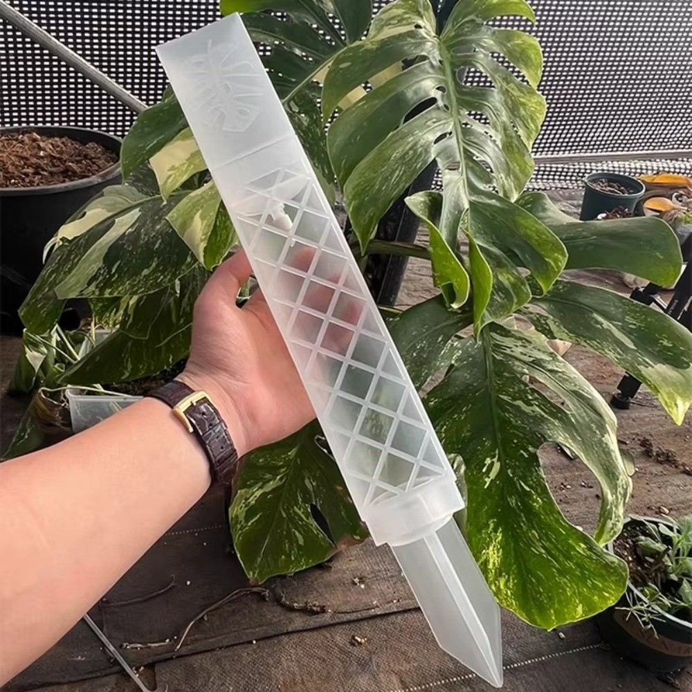 D-Shaped Self-Watering Plant D - Automatic Plant Waterer ulasan dan harga
