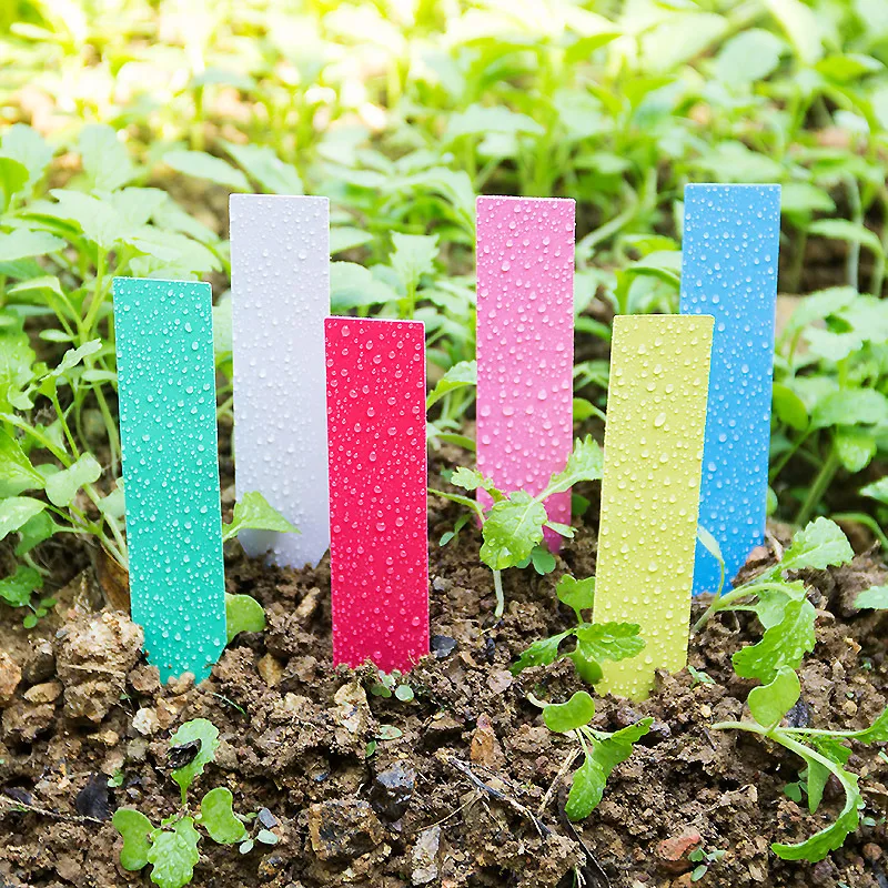 100pcs Thick 4inch Plant Label - Plant Label Tags ulasan dan harga