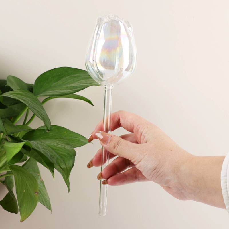 1 pc Glass Plant Waterer, Auto - Automatic Plant Waterer ulasan dan harga