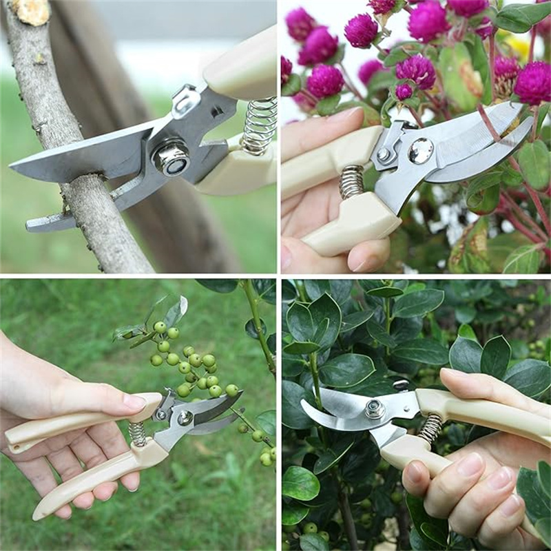 1PC Stainless Steel Pruning Sc - Gardening Tools To Cut Branches ulasan dan harga