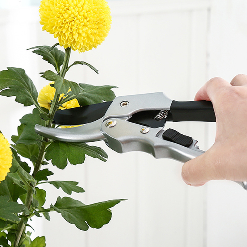New 20cm Ratchet Plant Trim Ho - Gardening Tools To Cut Branches ulasan dan harga