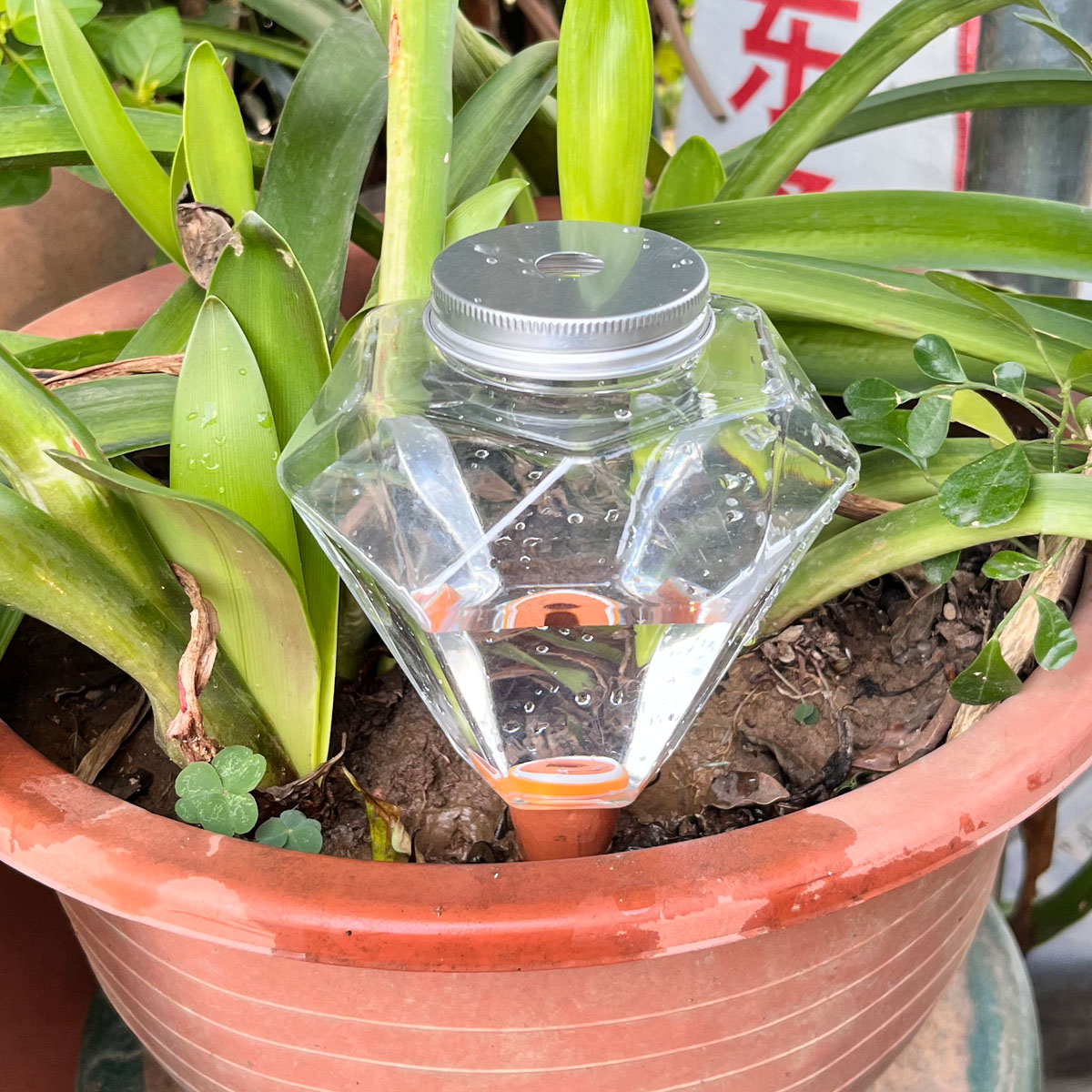 1pcs Cute Plastic Watering Mac - Automatic Plant Waterer ulasan dan harga