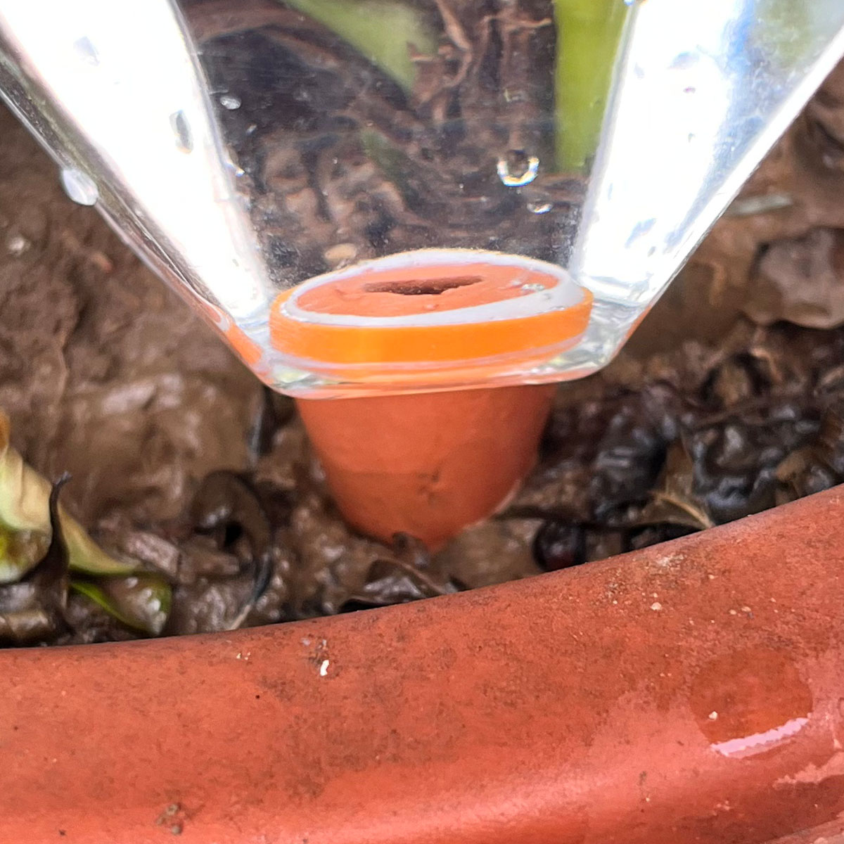 1pcs Cute Plastic Watering Mac - Automatic Plant Waterer ulasan dan harga