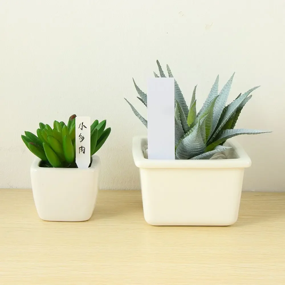 100Pcs Reusable Classification - Plant Label Tags ulasan dan harga