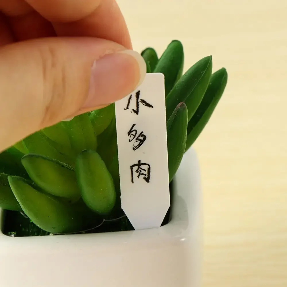 100Pcs Reusable Classification - Plant Label Tags ulasan dan harga