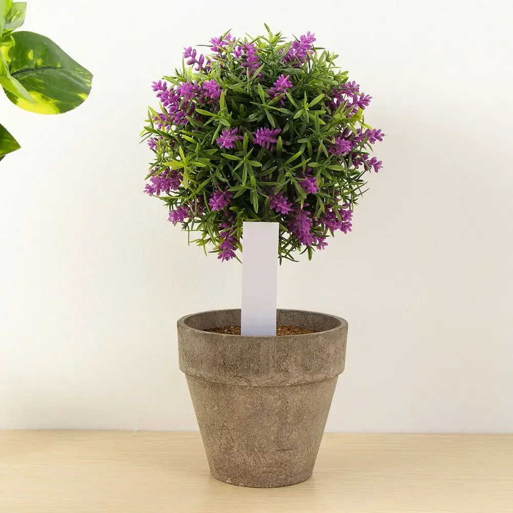 100Pcs Reusable Classification - Plant Label Tags ulasan dan harga