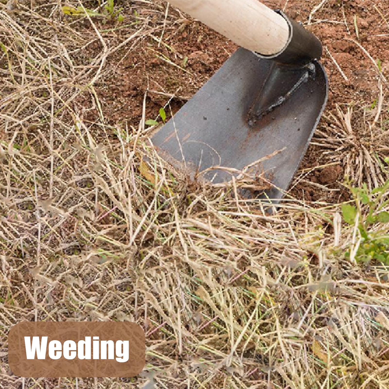 Manganese steel hoe Garden Dig - Gardening Tools Women ulasan dan harga
