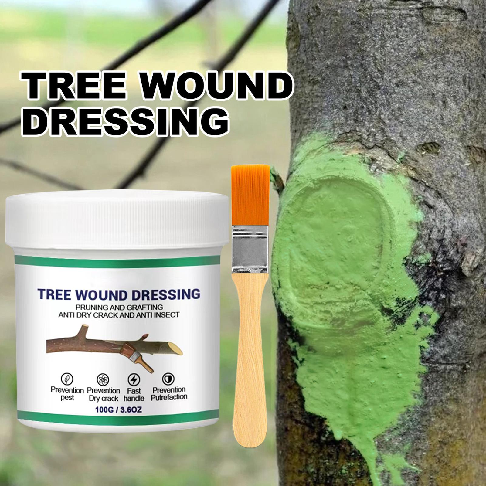 Tree Grafting Paste Tree Wound - Gardening Tools Women ulasan dan harga