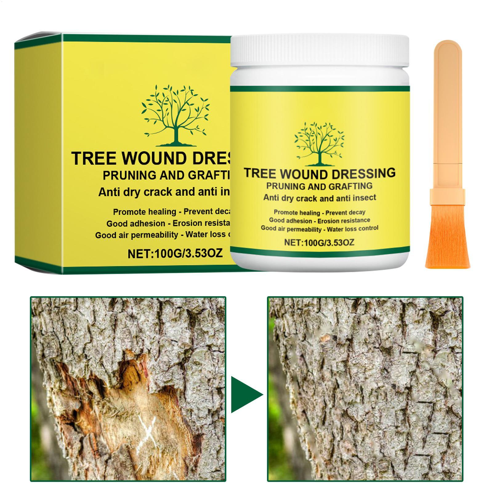 Tree Grafting Paste Tree Wound - Gardening Tools Women ulasan dan harga