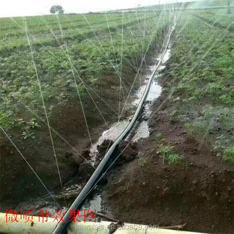16mm PE Drip Tape Irrigation K - Drip Irrigation Kit ulasan dan harga