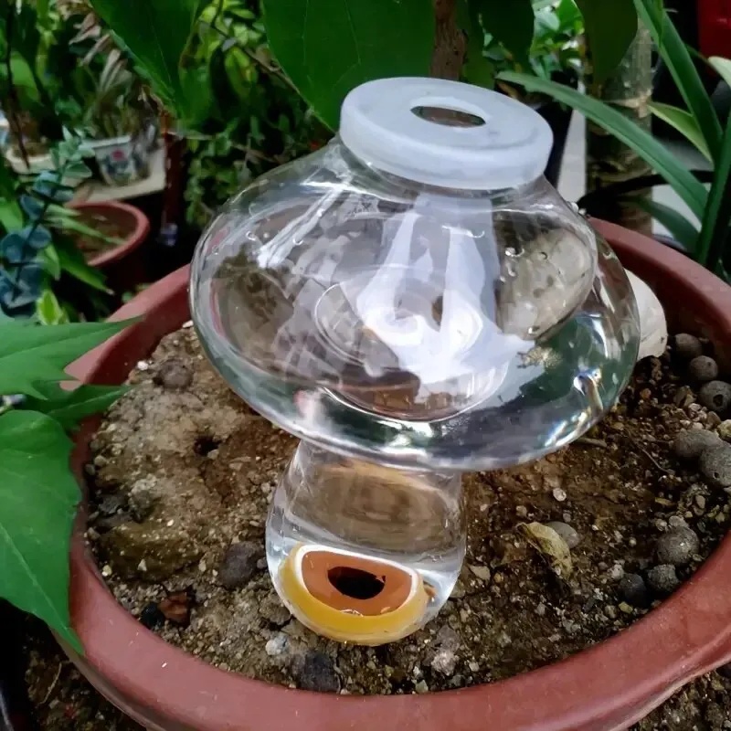 Automatic Plant Waterer Water  - Automatic Plant Waterer ulasan dan harga