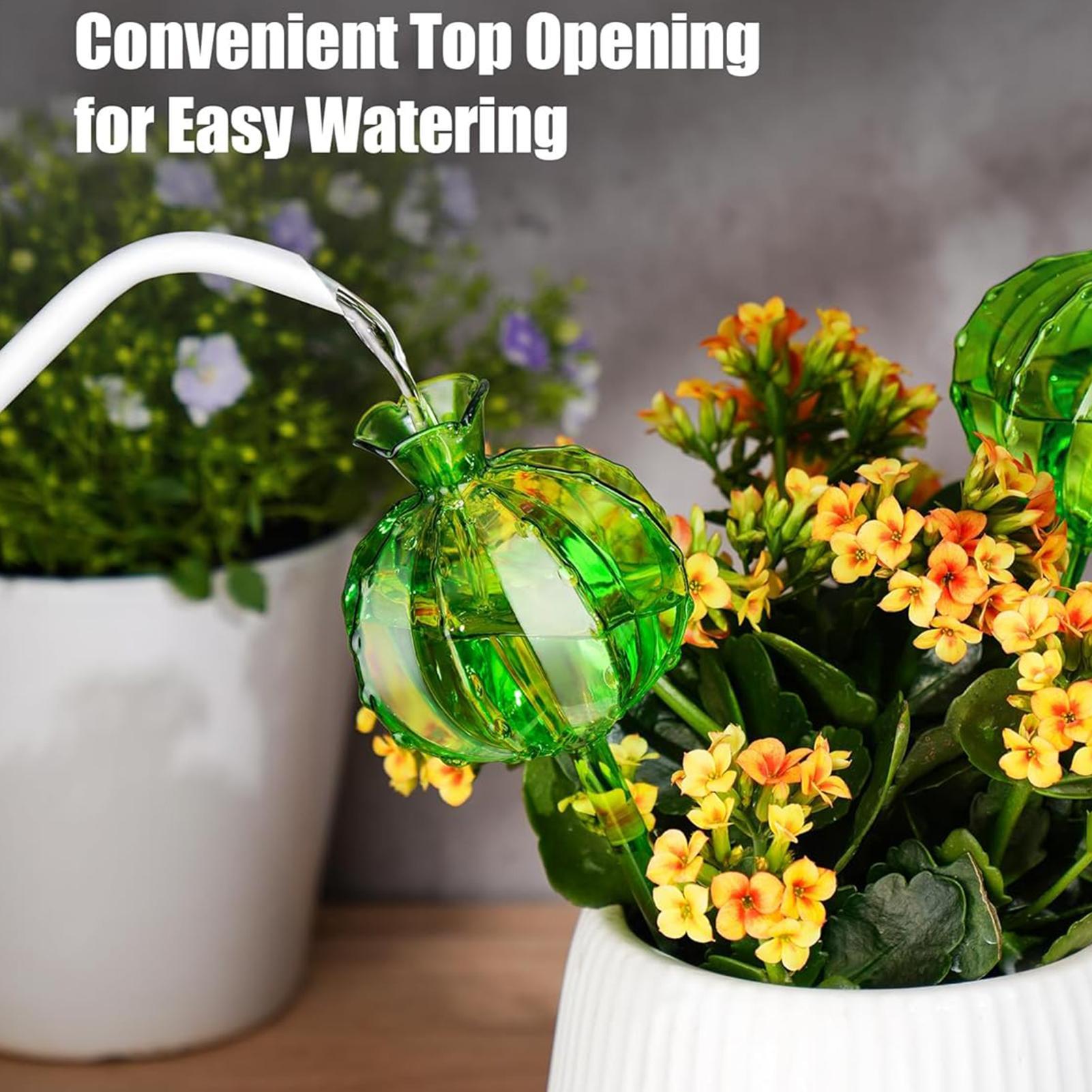 Plant Watering Globes Stakes 3 - Automatic Plant Waterer ulasan dan harga